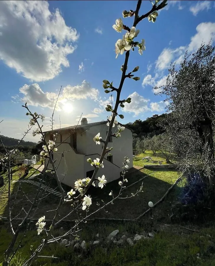Agriturismo Il Sorbo Appartamento Menta Sticciano